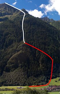 Section 3 of the Tree Line