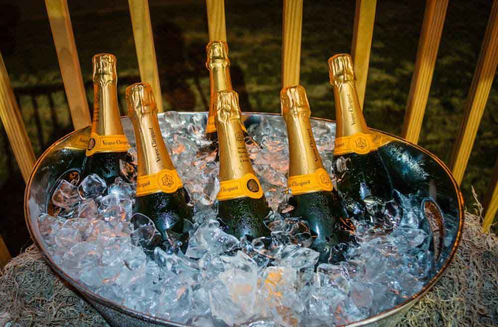 Celebration in Style!