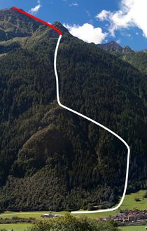 Section 1 of the Tree Line