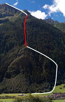 Section 2 of the Tree Line