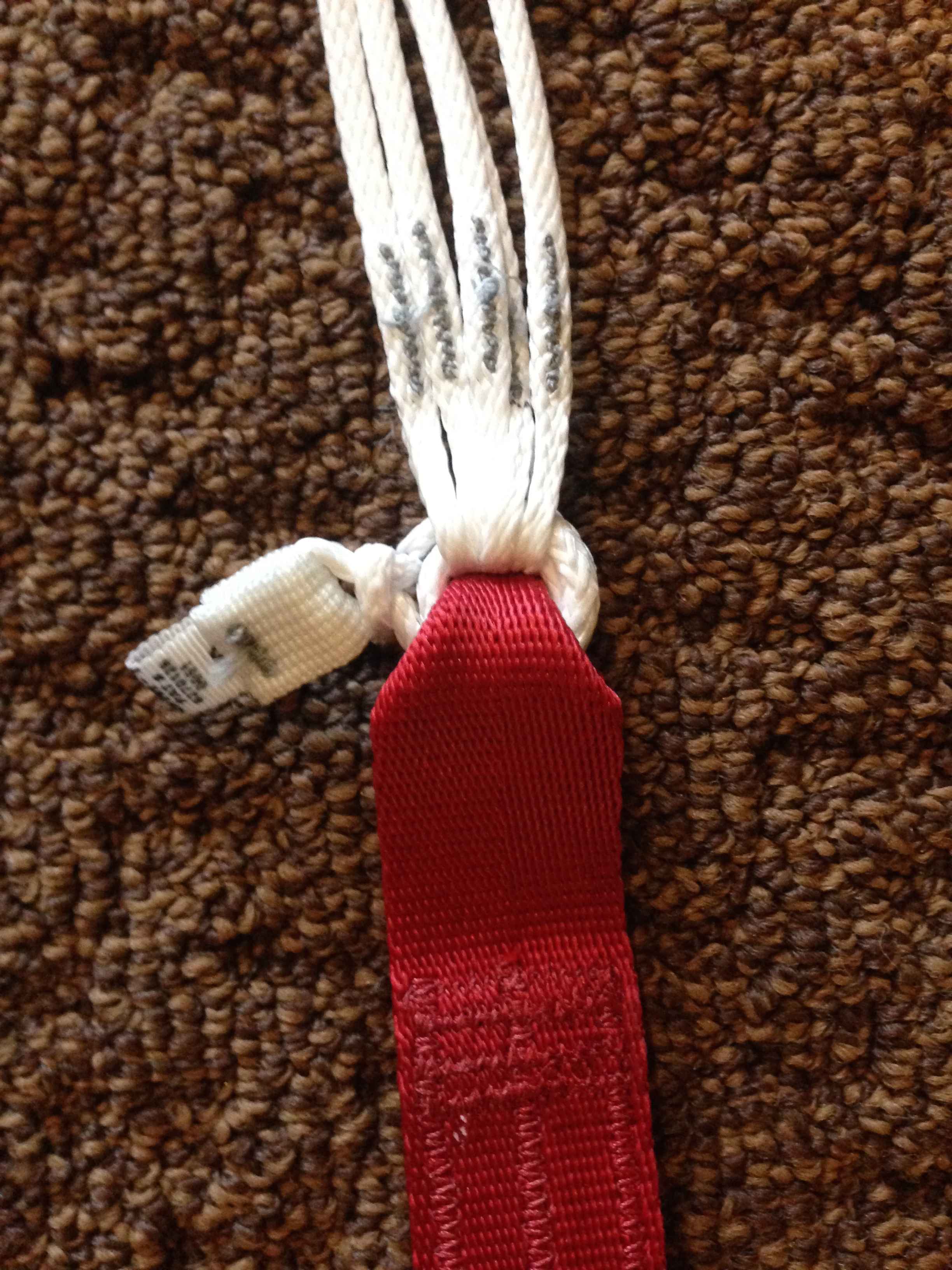 Slinks, back view, correctly assembled