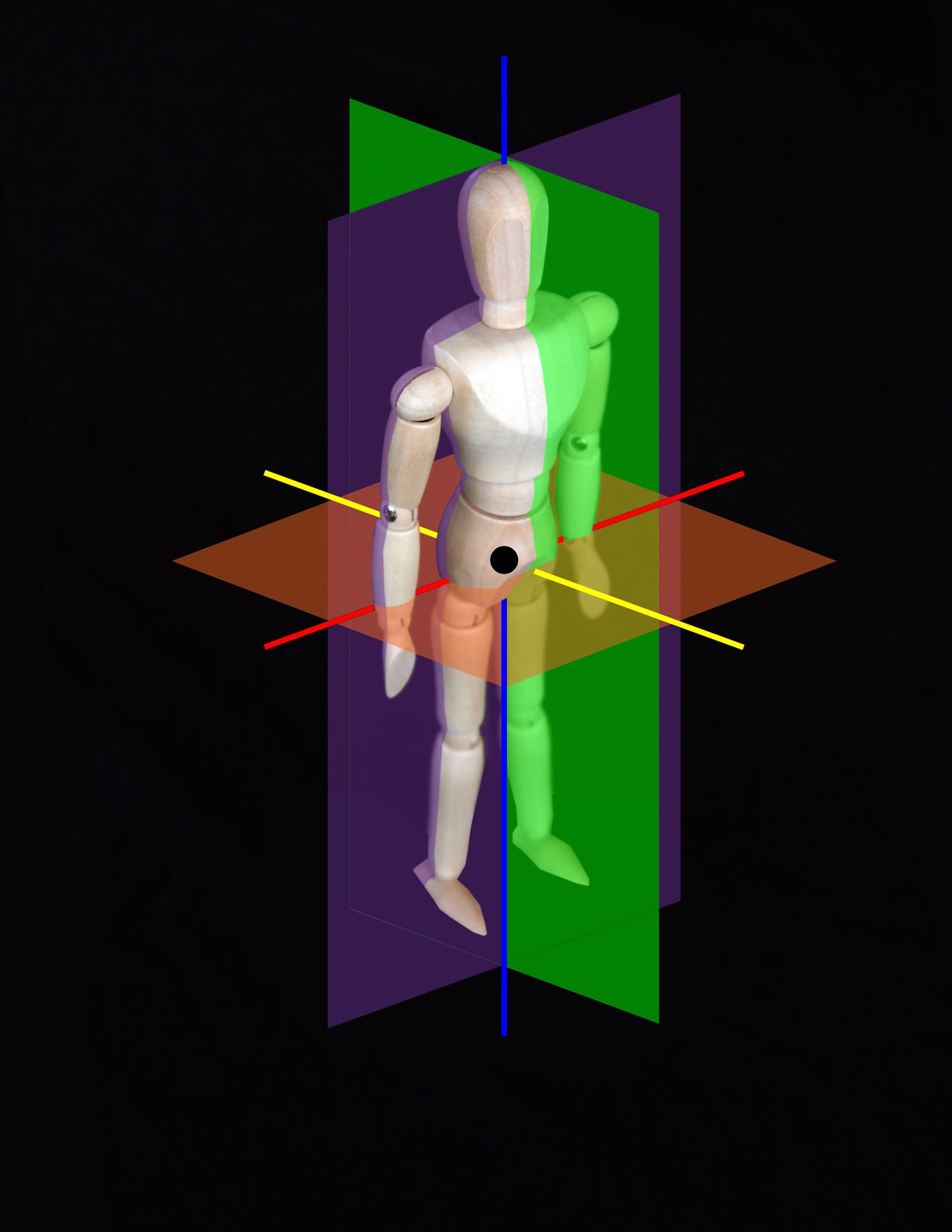 Three Axis Of Rotation Skydiving Coordinate System Part 3 - Skydivemag